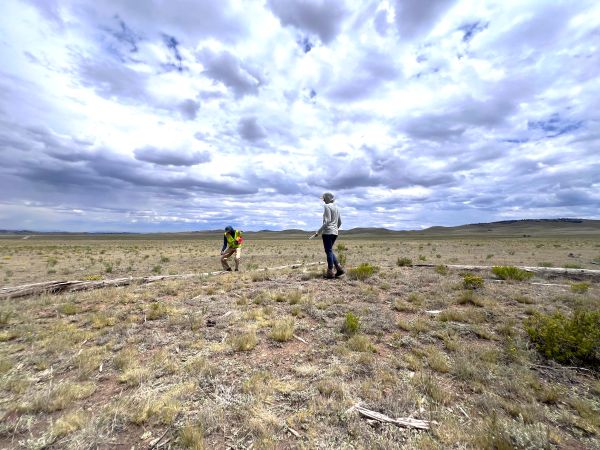 Individuals conducting a cultural survey at the Wild Horse South Reservoir site.