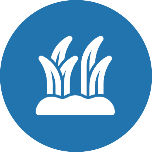 Wetlands icon